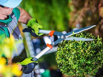Manutenção de áreas verdes nas escolas  - conservação e sustentabilidade